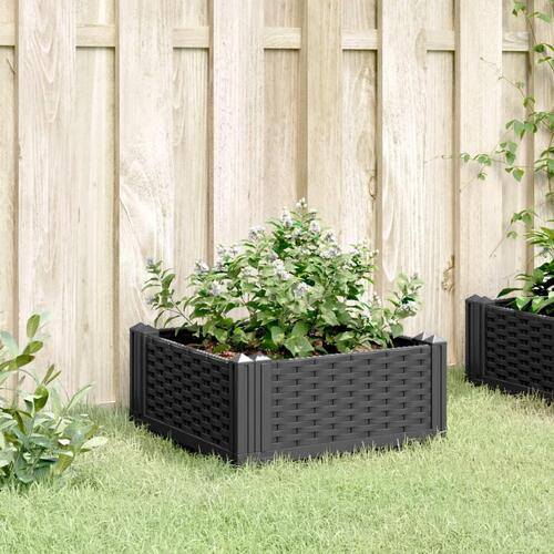 Plantekasse med spyd 42,5x42,5x28,5 cm PP sort
