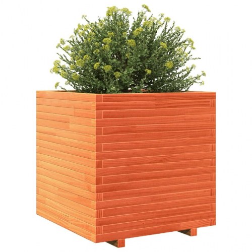 Plantekasse 70x70x72 cm massivt fyrretræ gyldenbrun
