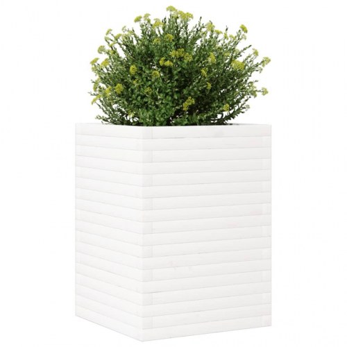 Plantekasse 50x50x68,5 cm massivt fyrretræ hvid