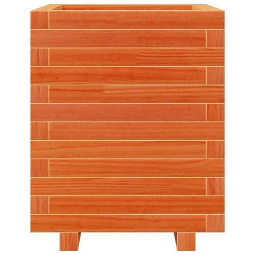 Plantekasse 40x40x49,5 cm massivt fyrretræ gyldenbrun