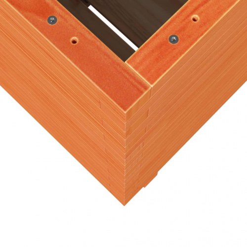 Plantekasse 50 x 50 x 72,5 cm i massivt fyrretræ - gyldenbrun