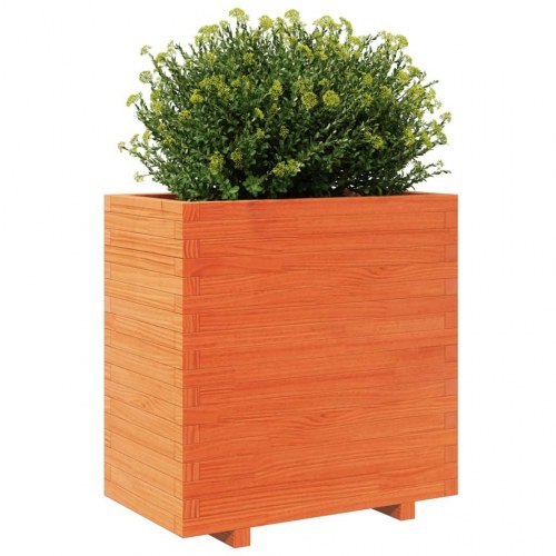 Plantekasse 70x40x72,5 cm massivt fyrretræ gyldenbrun