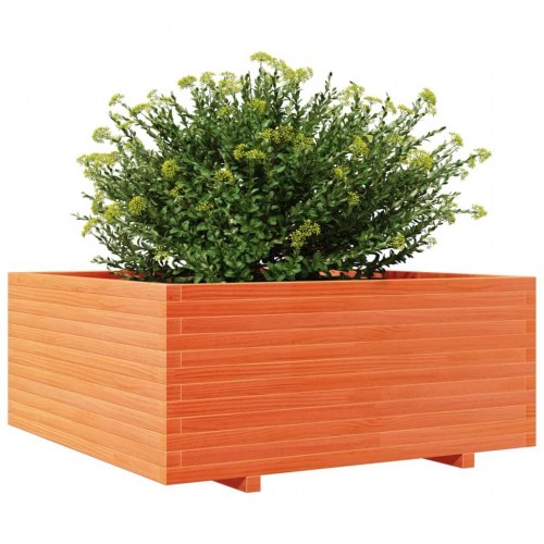 Plantekasse 110x110x49,5 cm massivt fyrretræ gyldenbrun