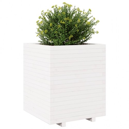 Plantekasse i massivt fyrretræ - hvid, 60 x 60 x 72,5 cm