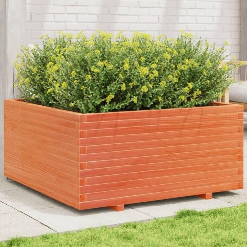Plantekasse i massivt fyrretræ 100 x 100 x 49,5 cm - gyldenbrun