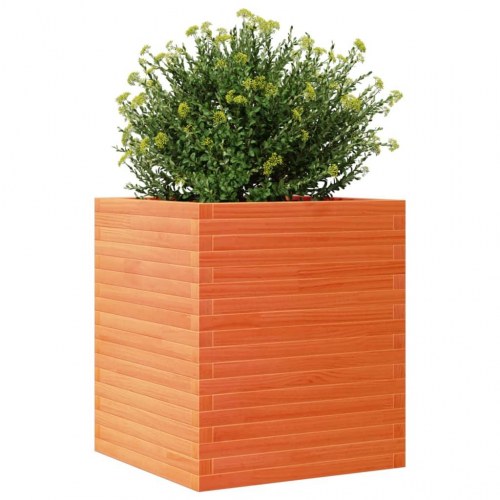 Plantekasse i massivt fyrretræ 60 x 60 x 68,5 cm - gyldenbrun