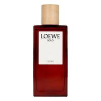 Herreparfume Loewe 110768 EDT 100 ml