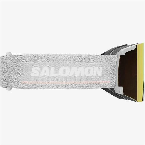 Skibriller Salomon S/View Grå