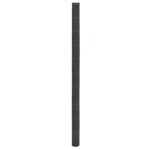 Ukrudtsdug 2 × 10 m - sort PP, 150 g/m² med grønne striber