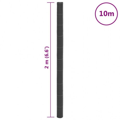 Ukrudtsdug 2 × 10 m - sort PP, 150 g/m² med grønne striber