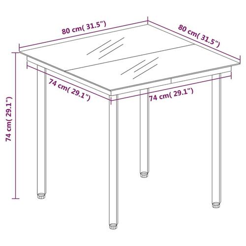 Havebord 80x80x74 cm stål og glas sort