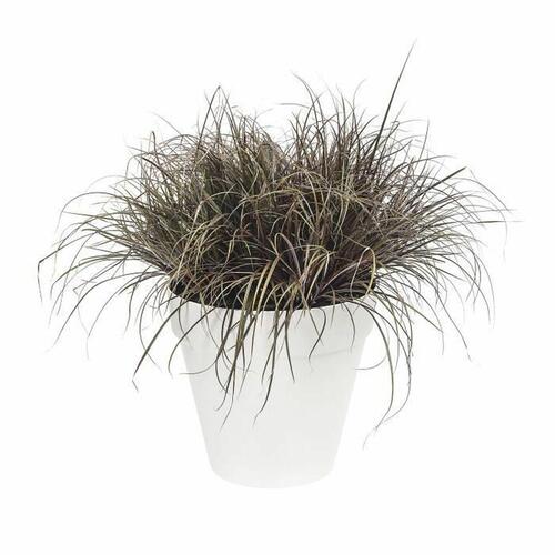 Urtepotte Elho Loft Urban Cirkulær Hvid Ø 40 cm