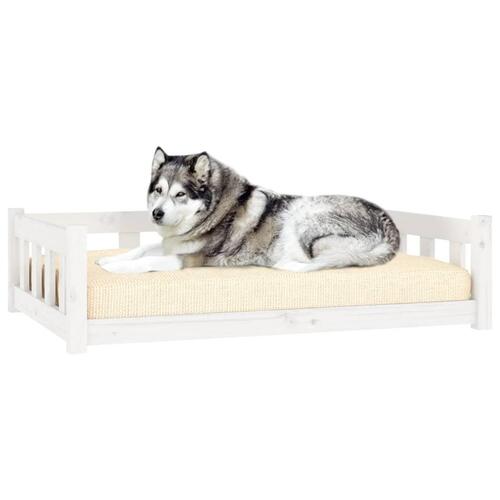 Hundeseng 105,5x75,5x28 cm massivt fyrretræ hvid