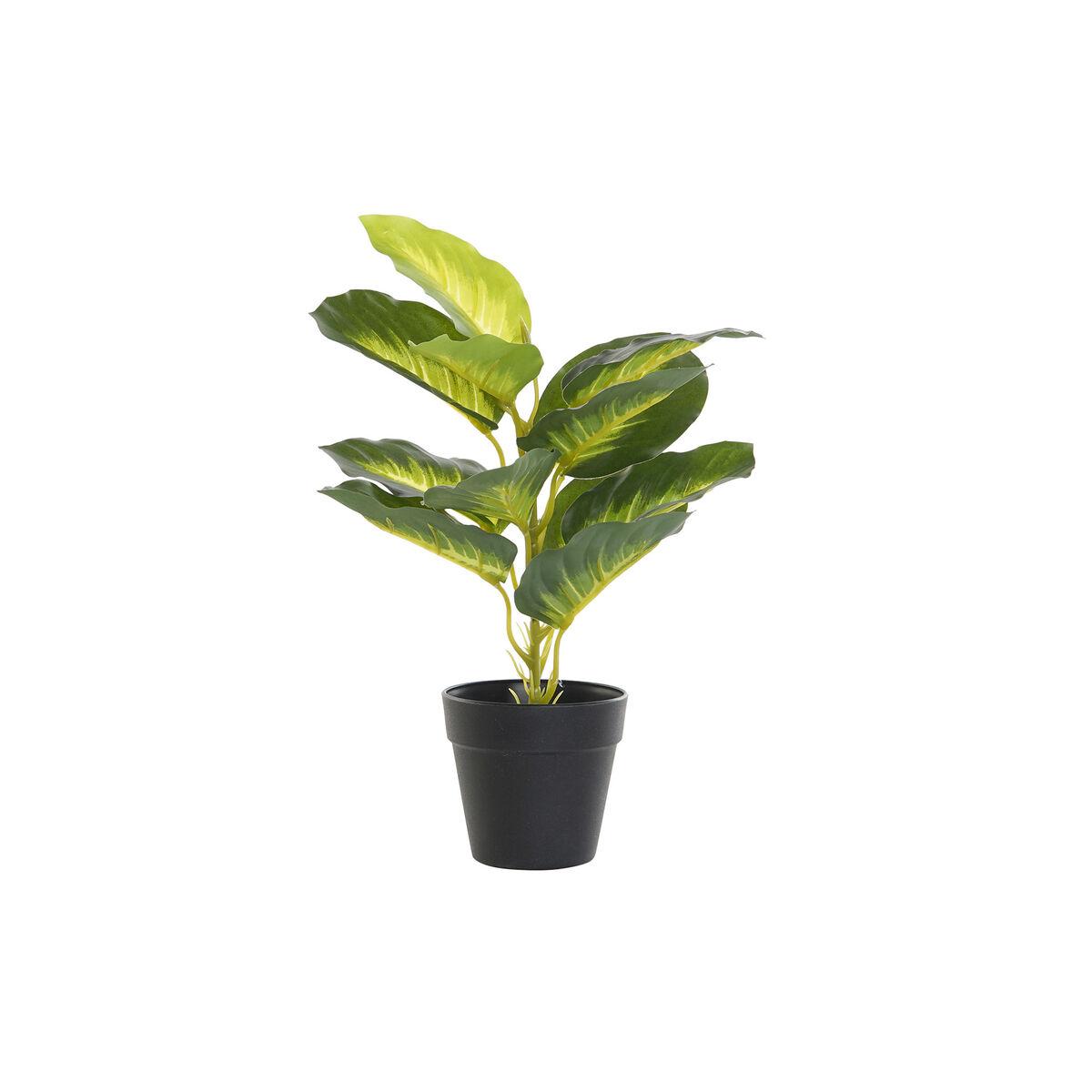 Dekorativ plante PVC polypropylen 25 x 25 x 30 cm