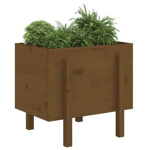 Plantekasse 62x50x57 cm massivt fyrretræ gyldenbrun