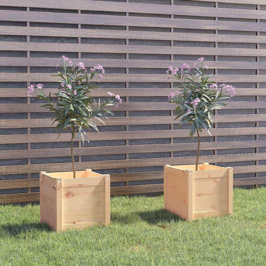 Plantekasser 2 stk. 40x40x40 cm massivt fyrretræ