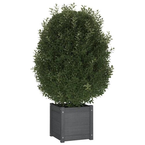 Plantekasser 2 stk. 40x40x40 cm massivt fyrretræ grå