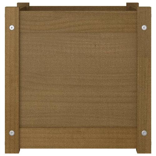 Plantekasse 40x40x40 cm massivt fyrretræ gyldenbrun