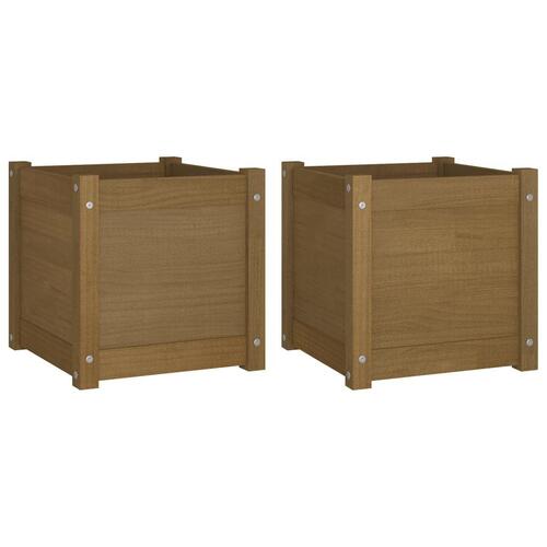 Plantekasser 2 stk. 40x40x40 cm massivt fyrretræ gyldenbrun