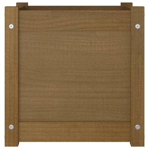 Plantekasser 2 stk. 40x40x40 cm massivt fyrretræ gyldenbrun