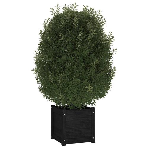 Plantekasse 40x40x40 cm massivt fyrretræ sort