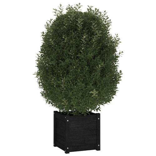 Plantekasser 2 stk. 40x40x40 cm massivt fyrretræ sort