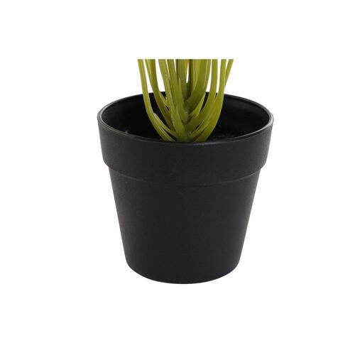 Dekorativ plante PVC polypropylen 25 x 25 x 30 cm