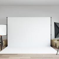 Stativ til fotobaggrund 305x243 cm stål sort