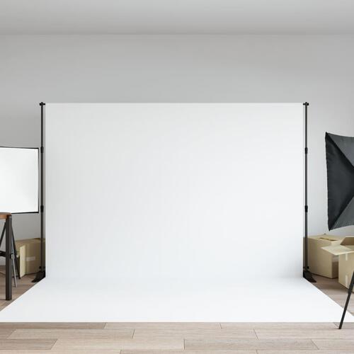 Stativ til fotobaggrund 305x243 cm stål sort