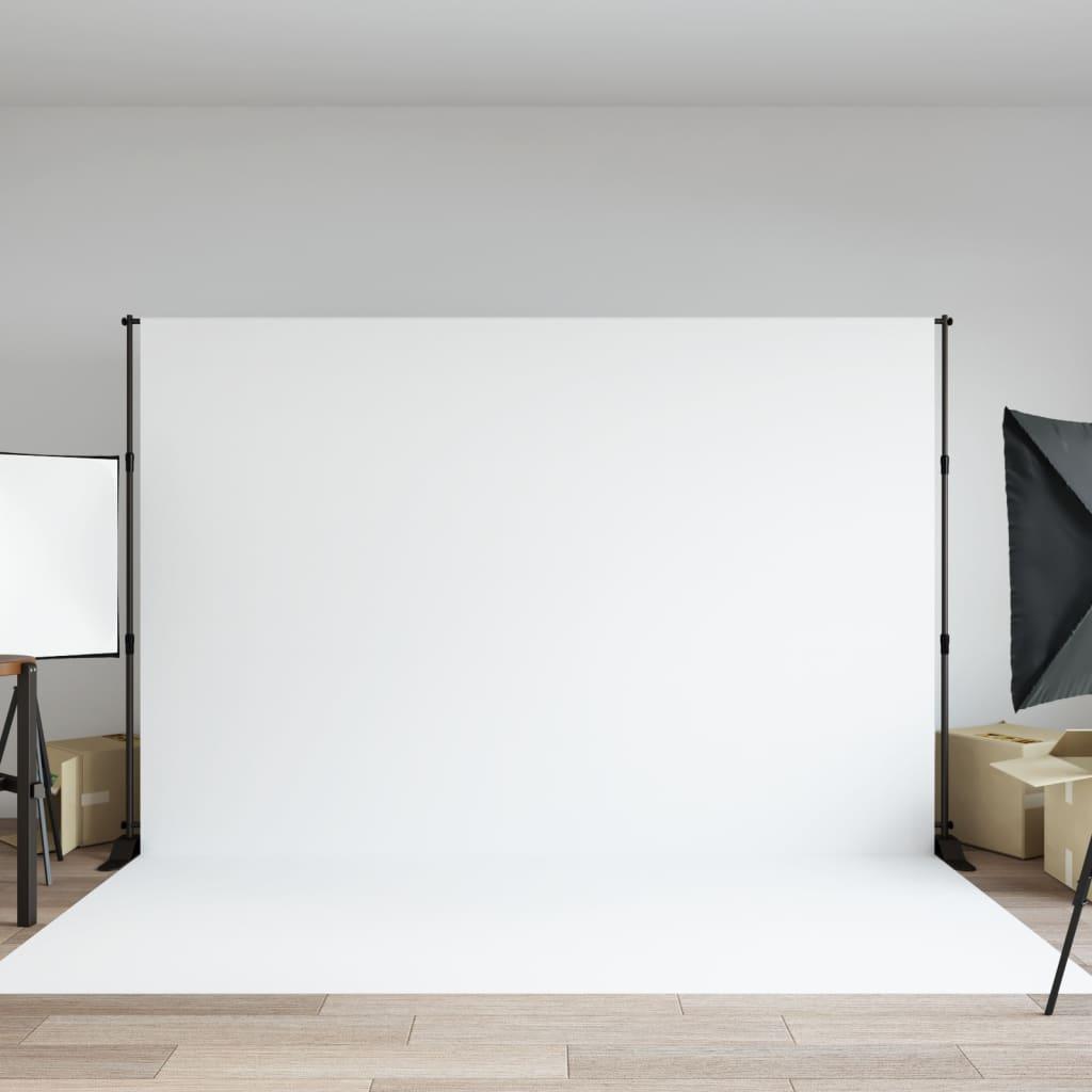 Stativ til fotobaggrund 305x243 cm stål sort