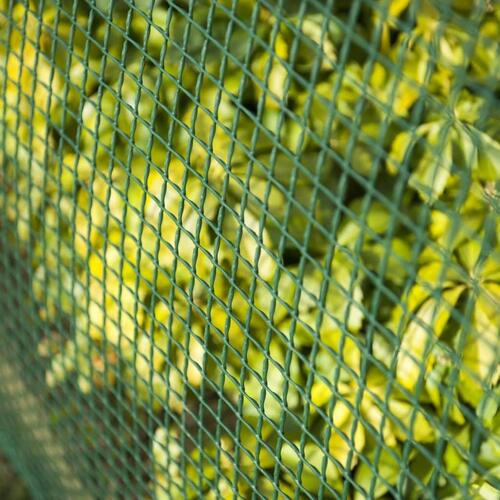 Nature haveskærm 5x5 mm 1x3 m firkantet trådnet grøn