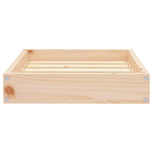 Hundeseng 51,5x44x9 cm massivt fyrretræ