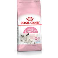 Kattemad Royal Canin Mother & Babycat Voksen Fugle 4 Kg