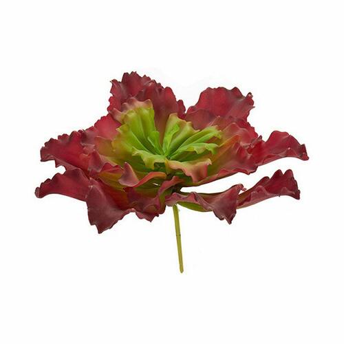 Dekorativ plante Ark Stor To-farvet Plastik 31 x 24 x 31 cm (6 enheder)