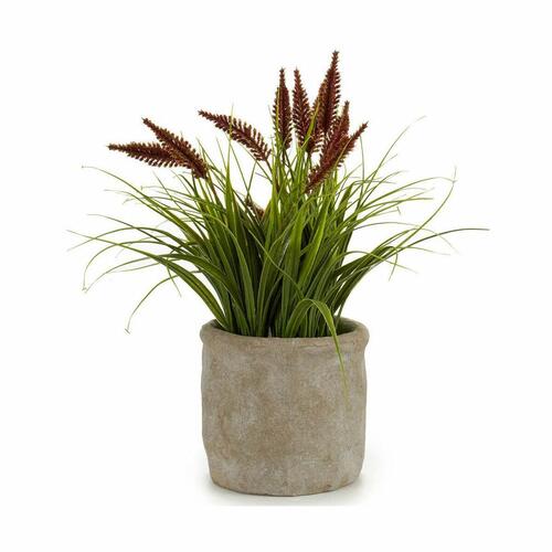 Dekorativ plante Øre (af hvede) Plastik 12 x 30 x 12 cm (8 enheder)