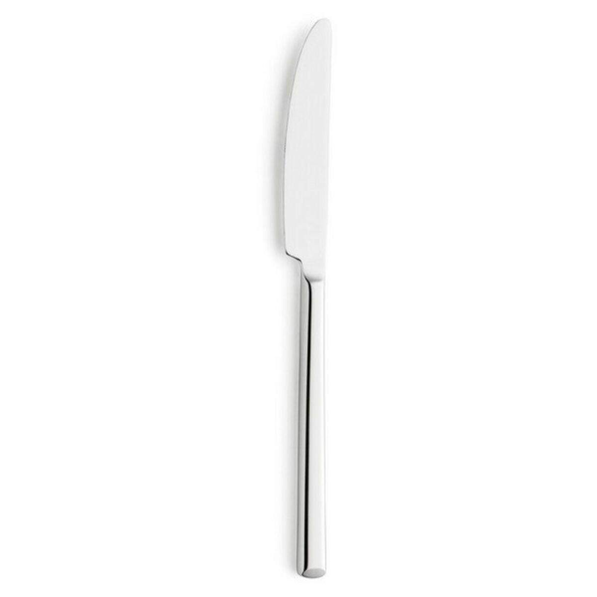 Sæt med dessertknive Amefa Metropole Metal 20,5 cm (12 enheder)