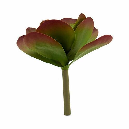 Dekorativ plante Ark Stor To-farvet Plastik 27 x 29 x 27 cm (6 enheder)