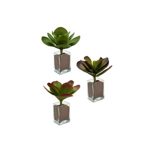 Dekorativ plante Ark Stor To-farvet Plastik 27 x 29 x 27 cm (6 enheder)