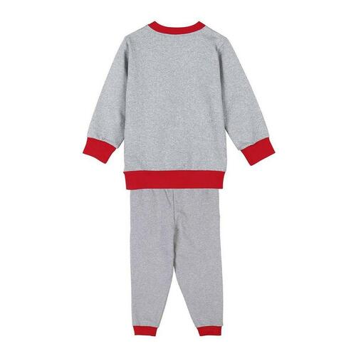 Træningsdragt til børn Minnie Mouse Grå 4 år