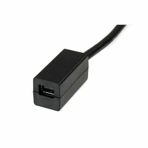 Mini DisplayPort til DisplayPort-adapter Startech DP2MDPMF6IN 4K Ultra HD Sort