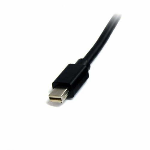 DisplayPort-kabel Mini DisplayPort Startech - 2 m, 4K, sort
