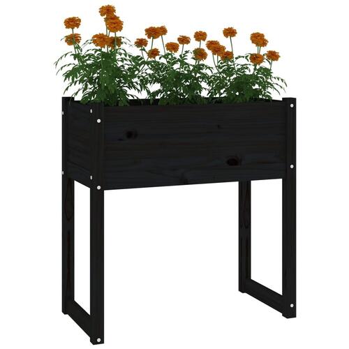 Plantekasse 78x40x81 cm massivt fyrretræ sort