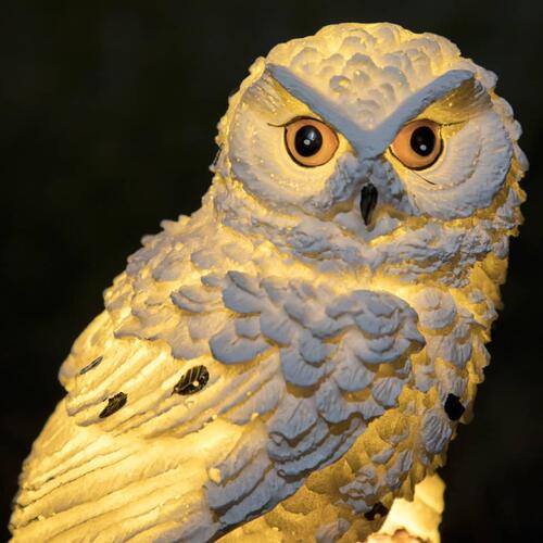 Hi soldrevet LED-lampe til have ugle hvid