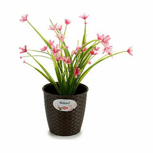 Urtepotte Stefanplast Plastik 14 x 13 x 14 cm (12 enheder)