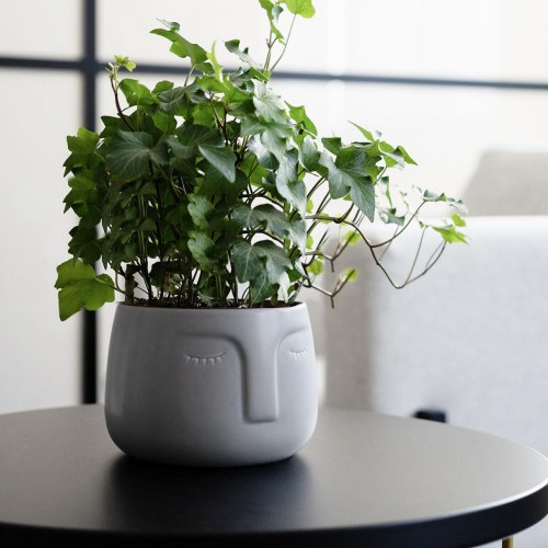 Vinthera Moa urtepotte - mørkegrå keramik 12,5 × 10,5 cm