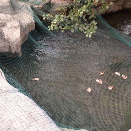 Netoverdækning til dam 8x4 m PE