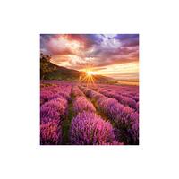 Skærm Videowall Samsung LH025IFHBAS/EN LED 50-60 Hz