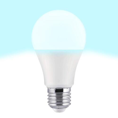 LED-lampe TM Electron E27 (5000 K)