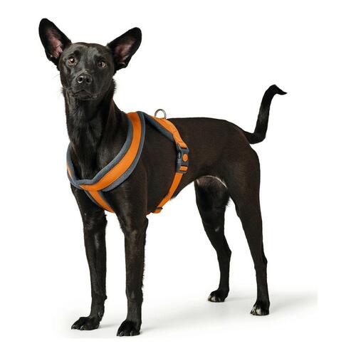 Hundesele Hunter London Comfort 39-47 cm Orange XS/S