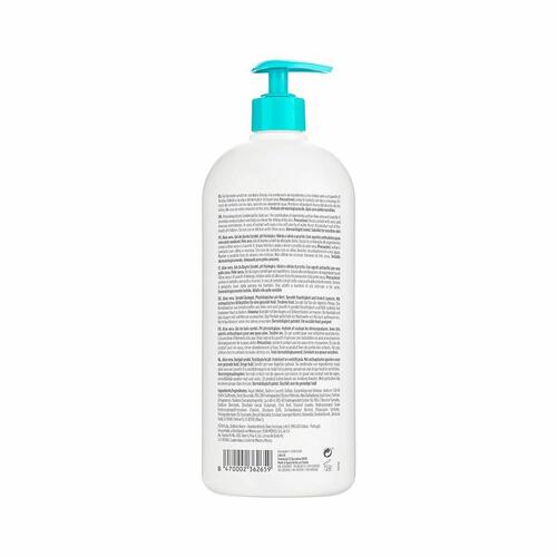 Badegel Isdin Germisdin Aloe Vera Antiseptisk (1000 ml)